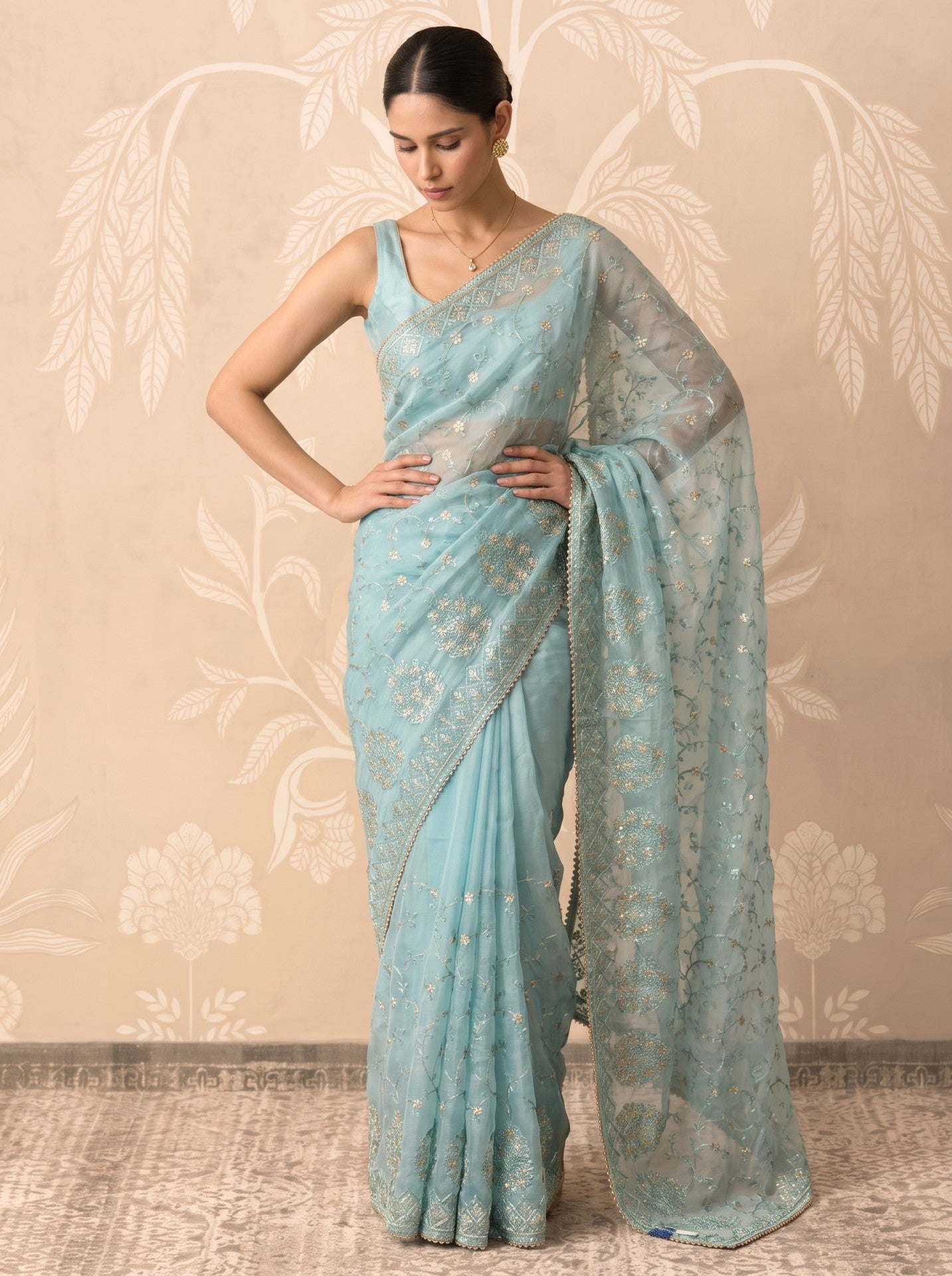 Sky Blue Organza Party Wear Saree