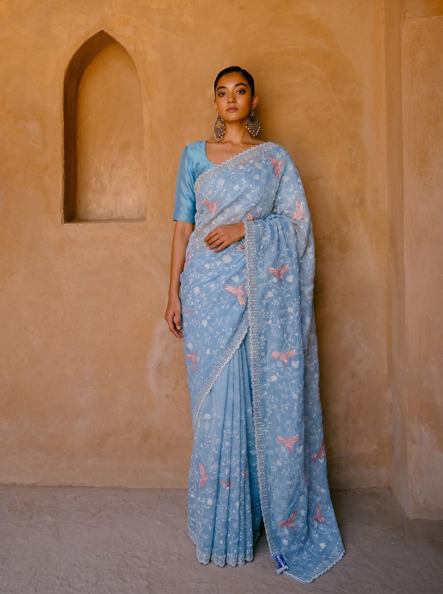 Sky Blue Thread Embroidery Orangza Saree