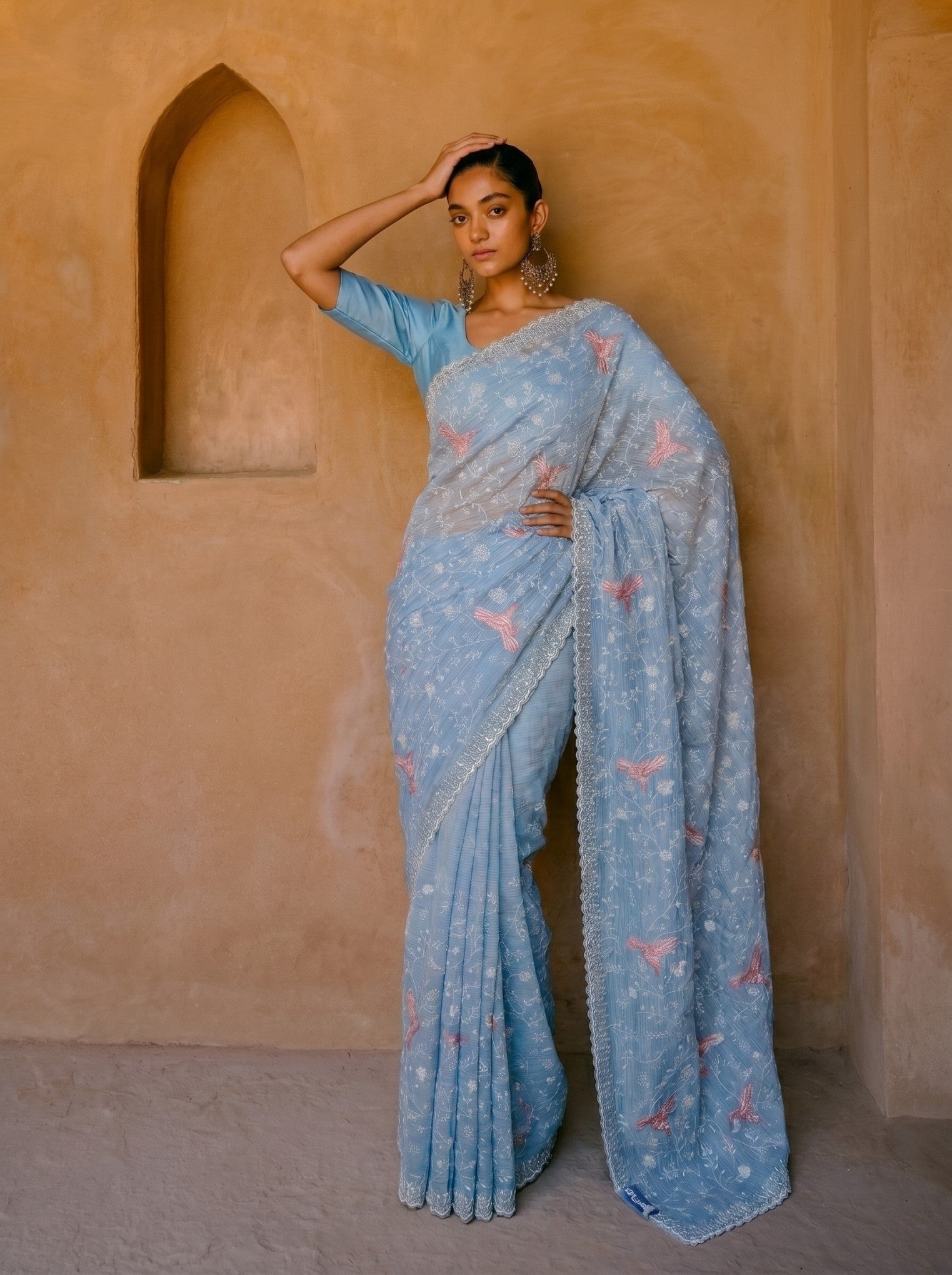 Sky Blue Thread Embroidery Orangza Saree